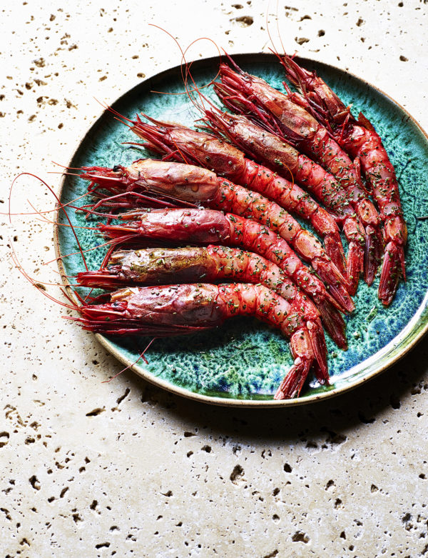Food photography showing a row of prawns