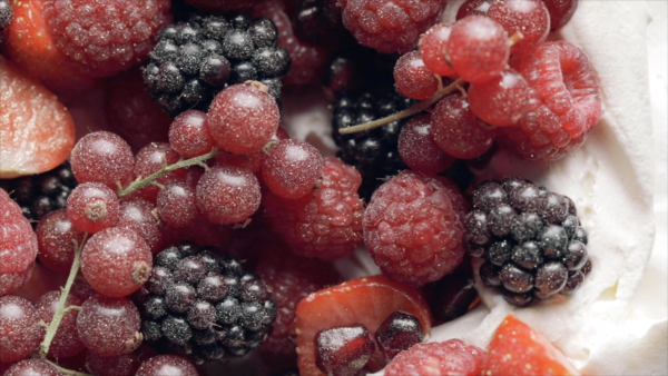 Food videography showing a close up of berries including blackberries, redcurrants, raspberries and strawberries